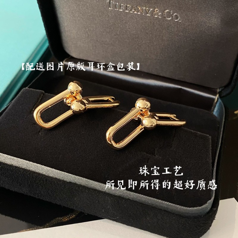 Tiffany & Co Earrings 
