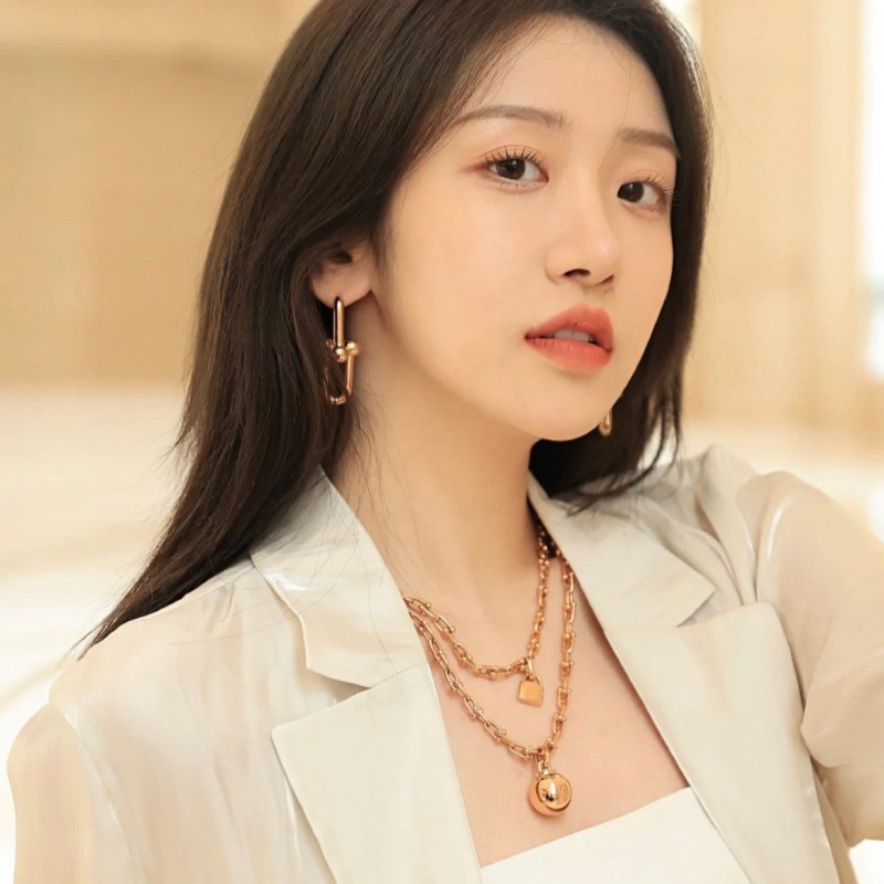 Tiffany & Co Earrings 