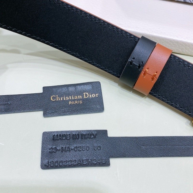 Dior D-Fence Belt