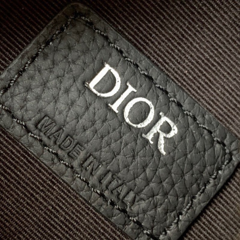 Dior Scarab Bag