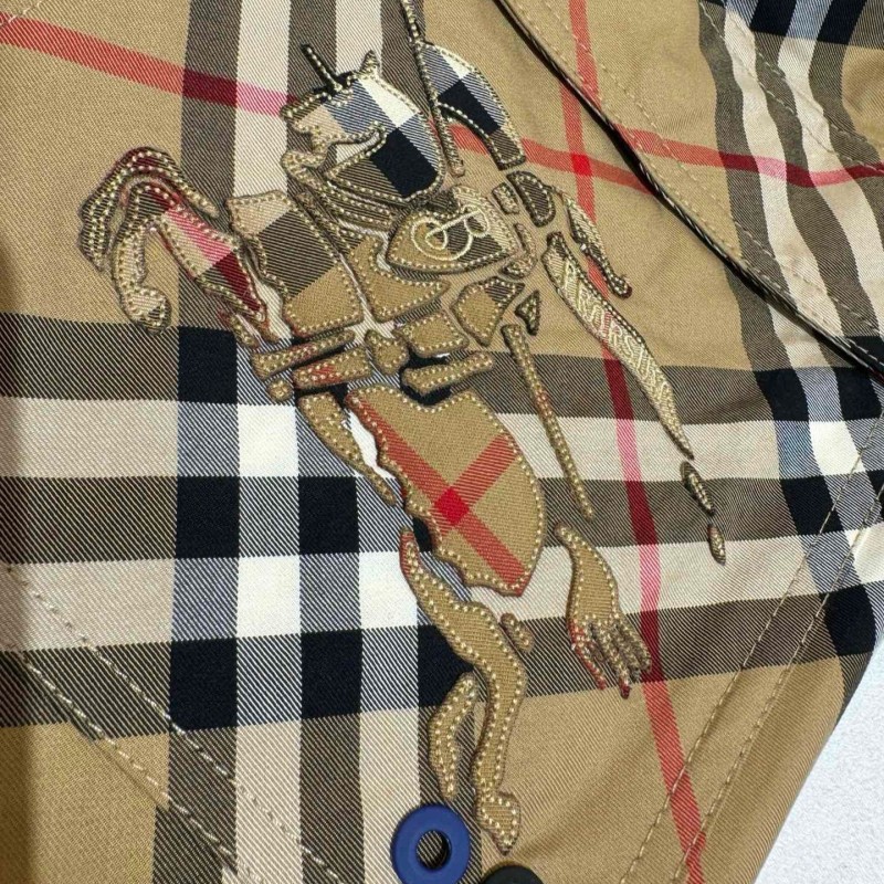 Balenciaga Unisex Shorts