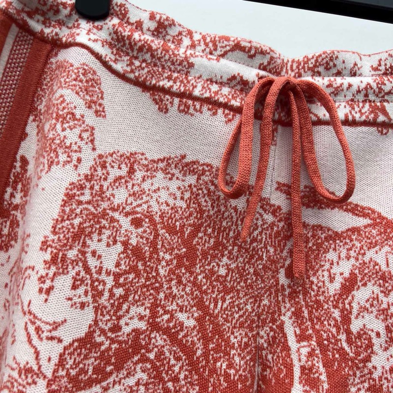 Dior Hoodie & Shorts Set