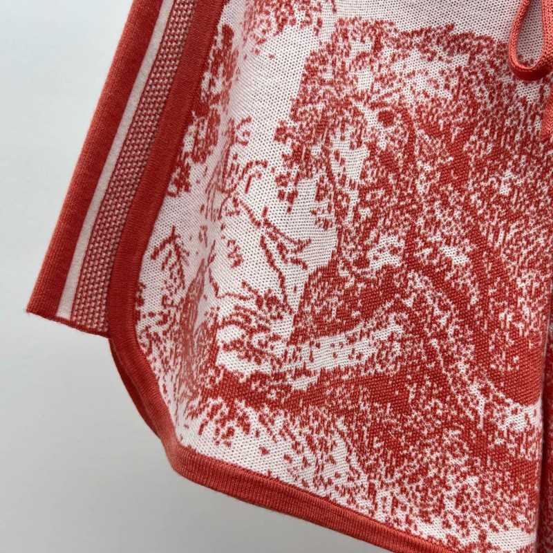 Dior Hoodie & Shorts Set