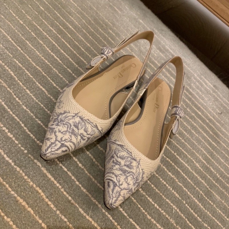 Dior Shoes