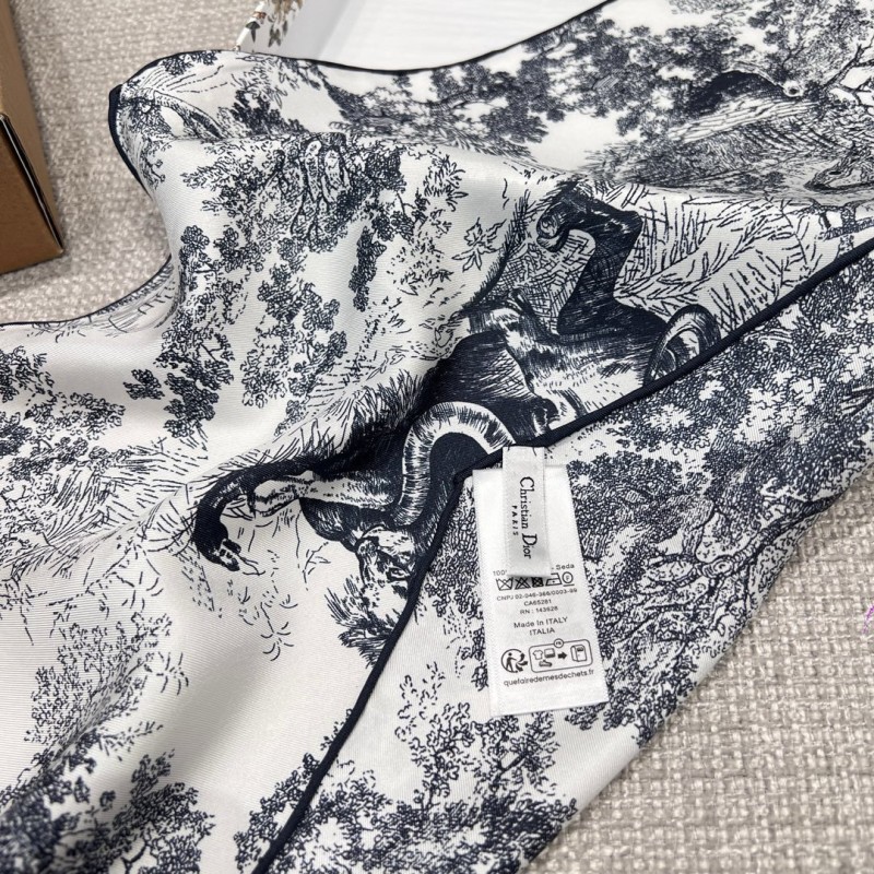 Dior Scarf