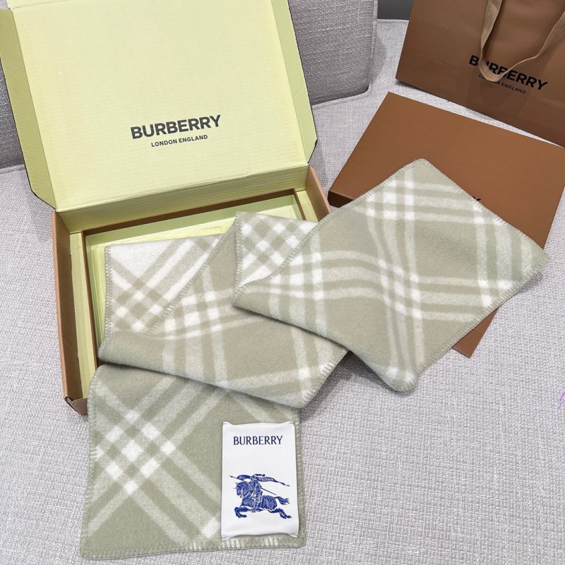 Burberry Long Scarf