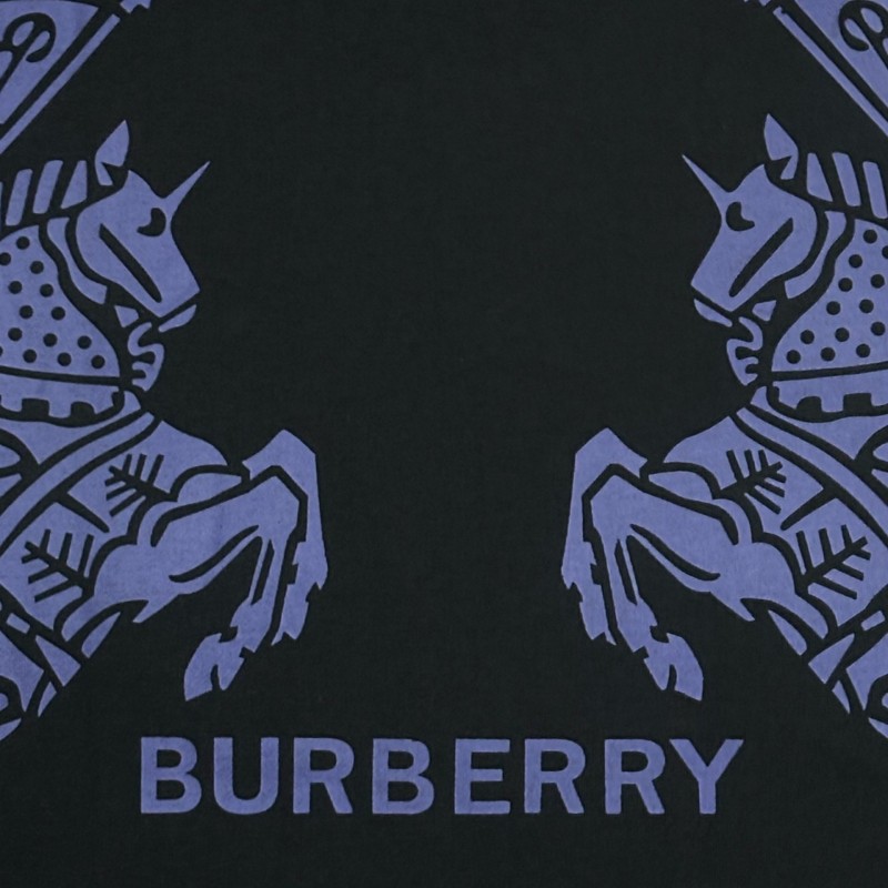 Burberry Unisex Hoodie