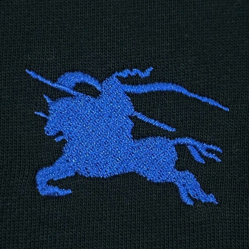 Burberry Unisex Hoodie