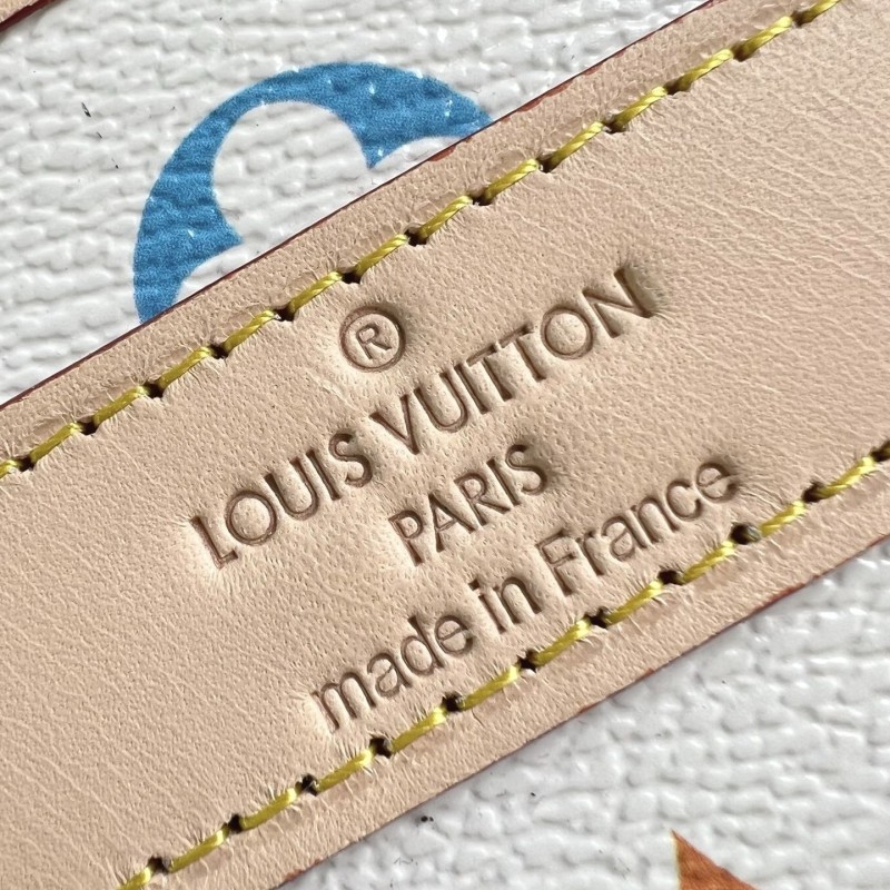 LV Handbag 宠物包