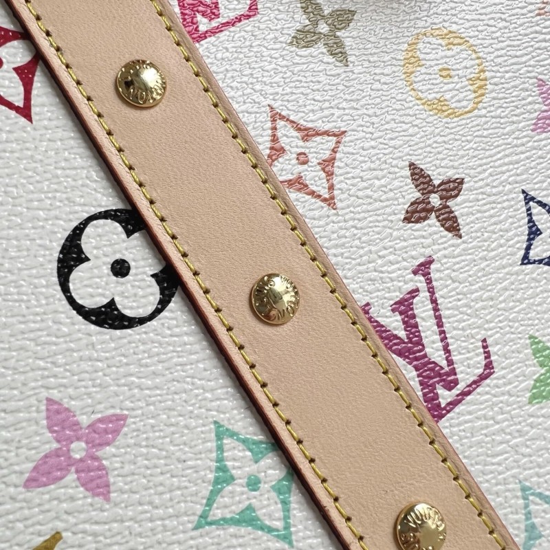 LV Handbag 宠物包