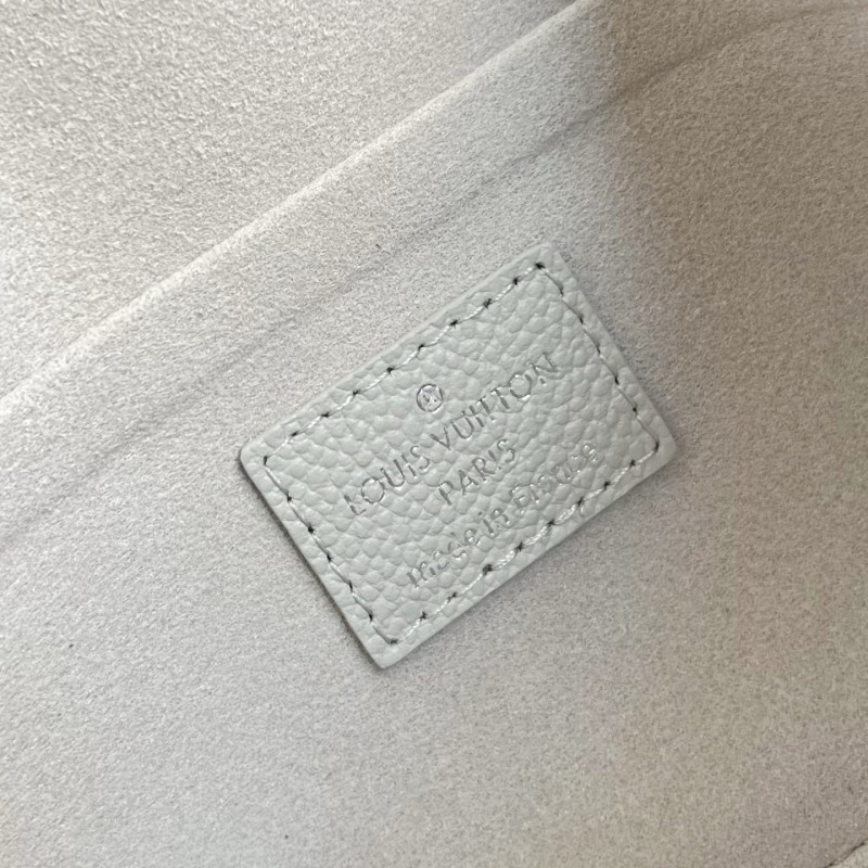 LV Pochette Félicie Handbag 