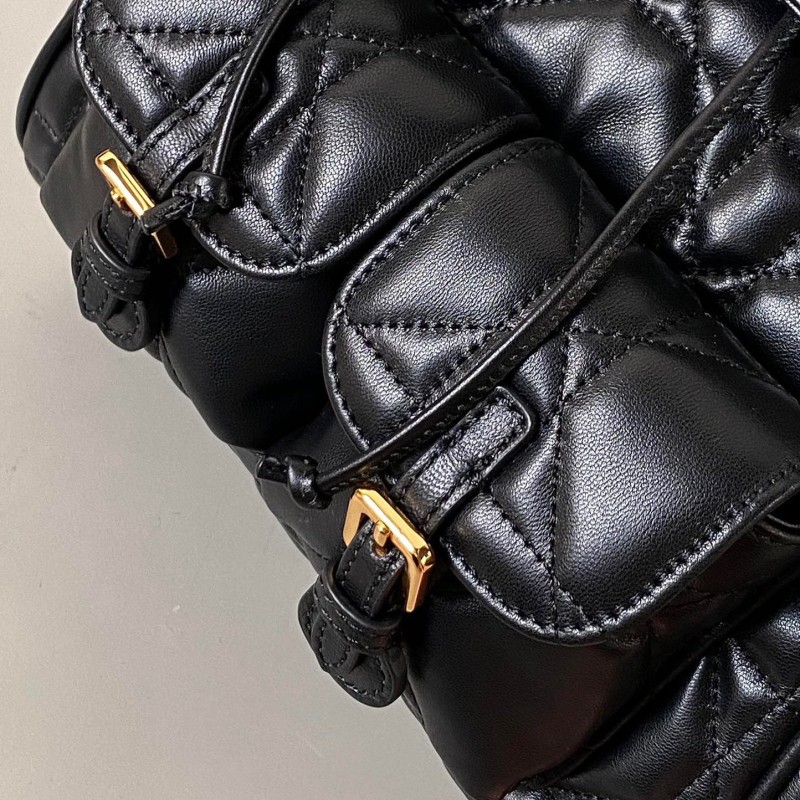 Dior Caro Backpack Big