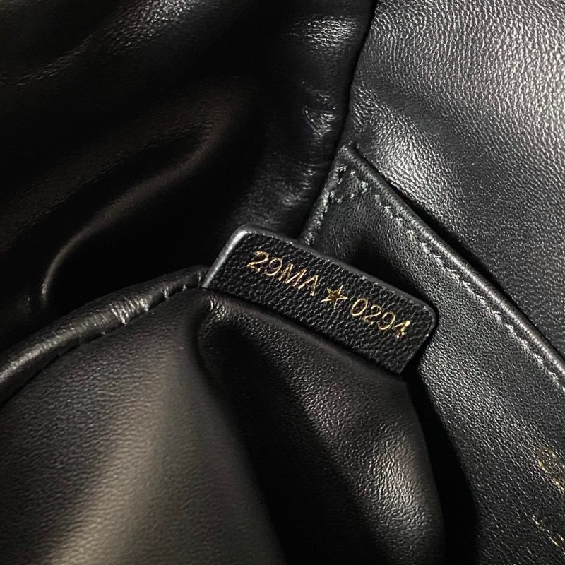 Dior Caro Backpack Big