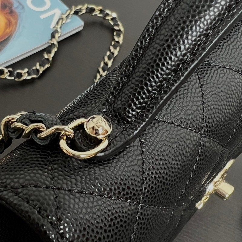 Chanel 25S Handbag