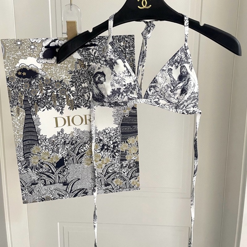 Dior Swimsuit 