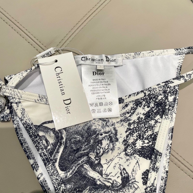 Dior Swimsuit 