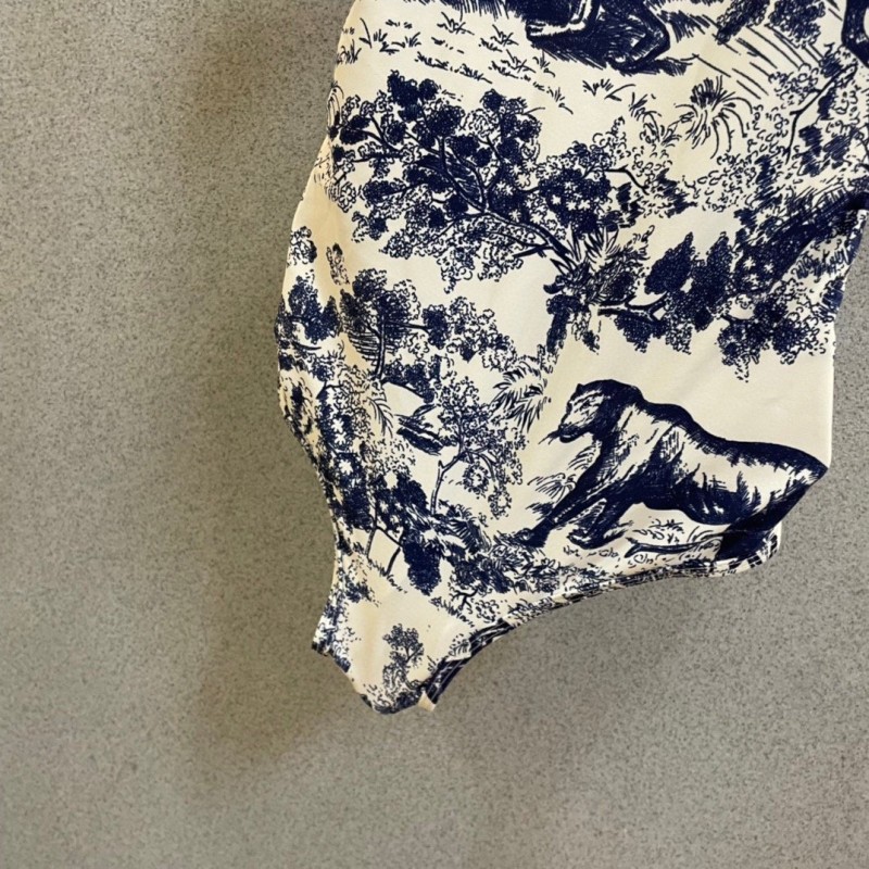 Dior Swimsuit 