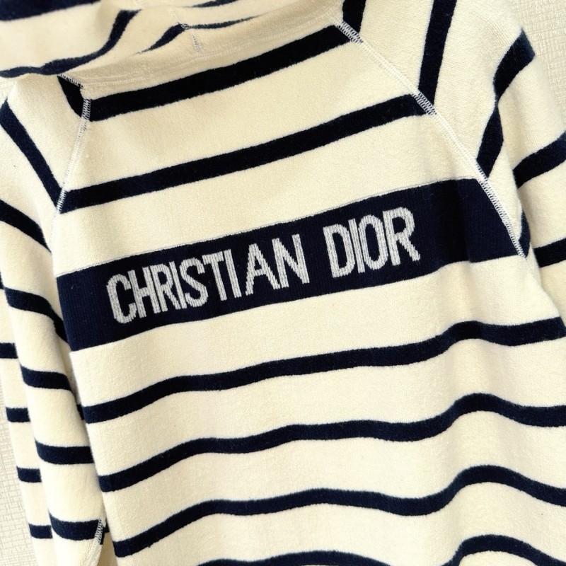 Dior Hoodie