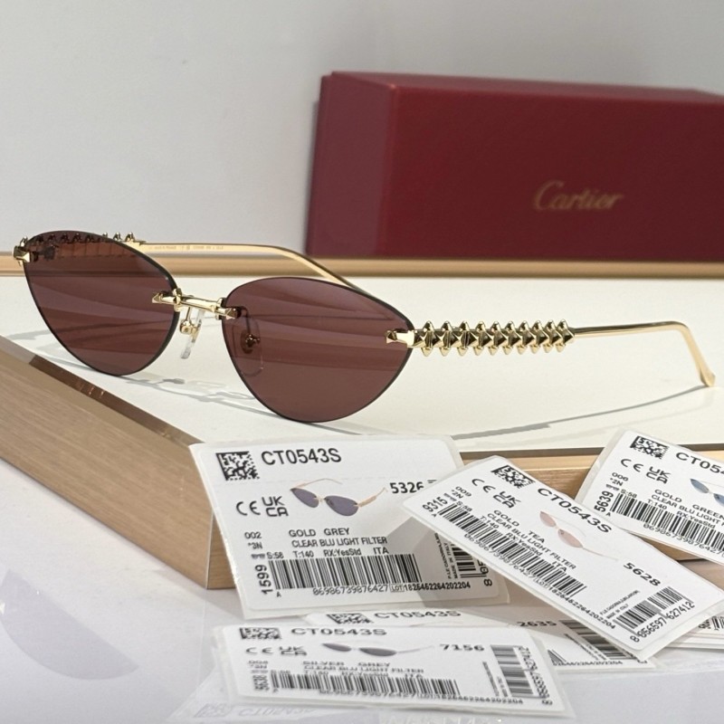 Cartier Sunglasses 