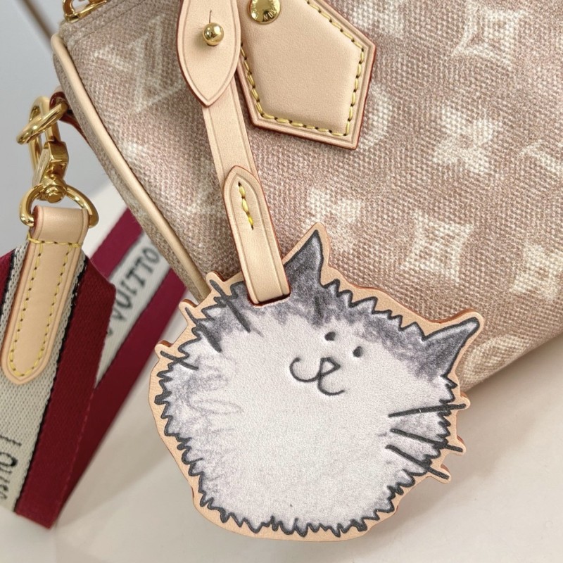 LV Speedy 20 Bandoulière 