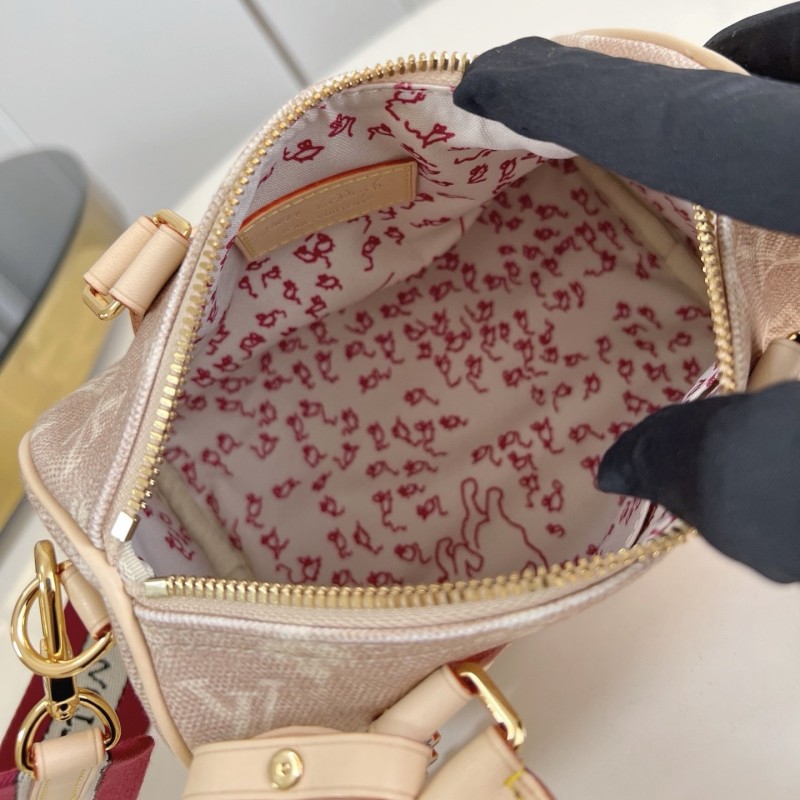 LV Speedy 20 Bandoulière 