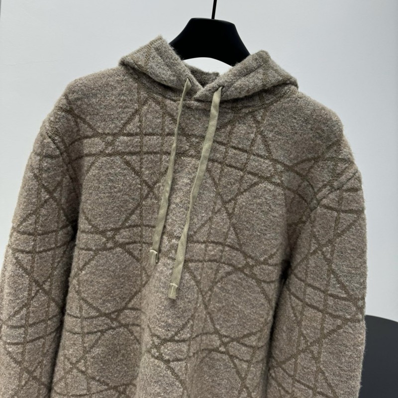 Dior Wool Hoodie