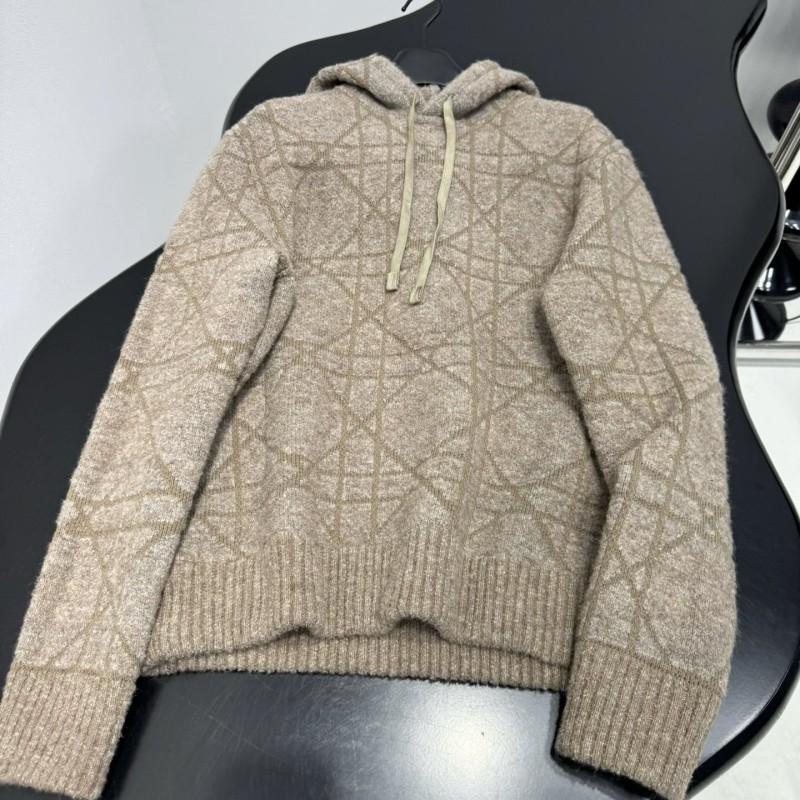 Dior Wool Hoodie