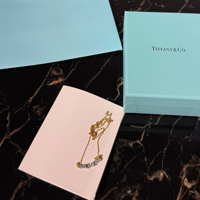 Tiffany & Co Necklace