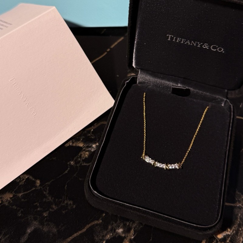 Tiffany & Co Necklace