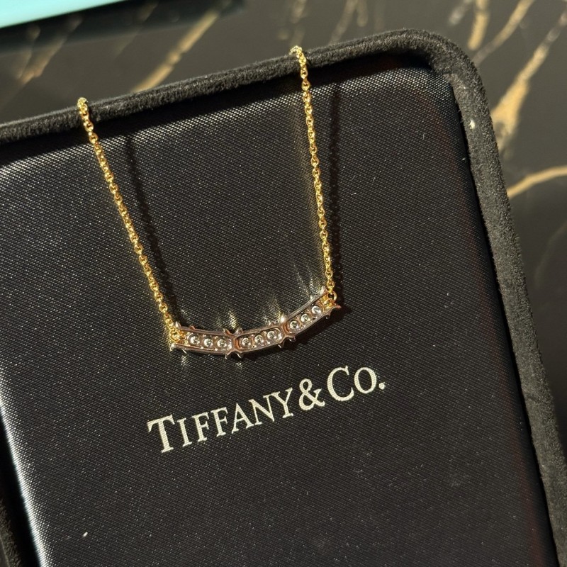 Tiffany & Co Necklace