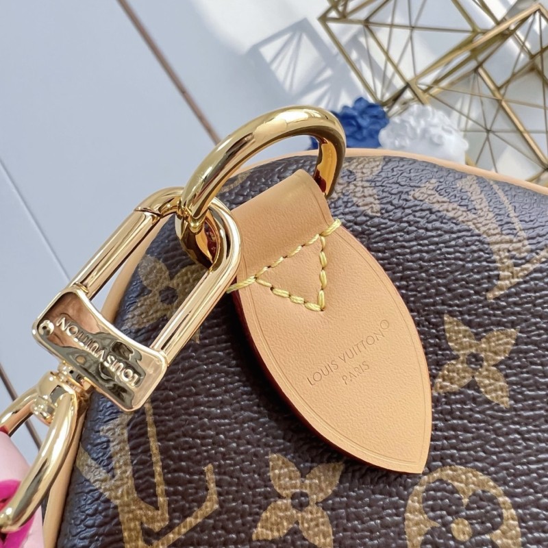 LV Speedy Soft 30 Crafty