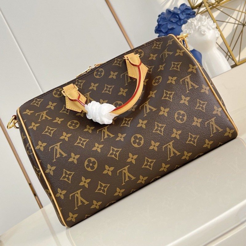 LV Speedy Soft 30 Crafty