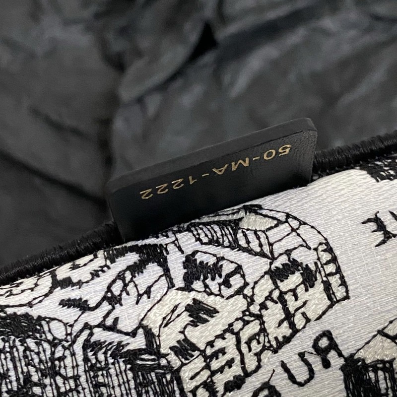 Dior Book Tote