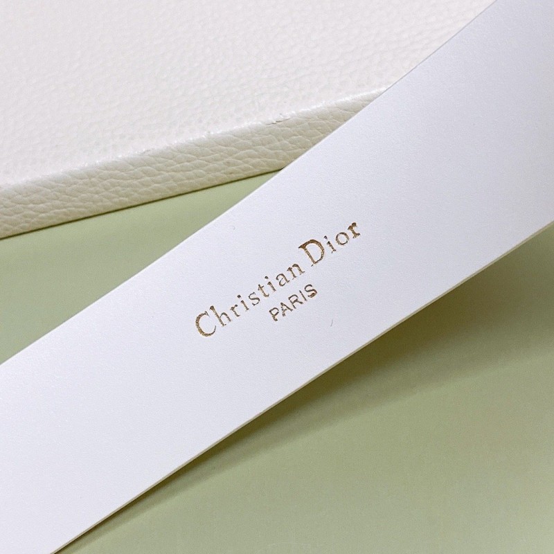 Dior 30 Montaigne Belt